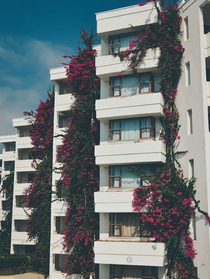 gallery-2 Modern apartment buildings with lush vines climbing the facade, creating a vibrant urban aesthetic.